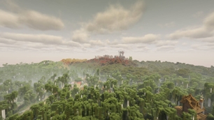 Forest Horizons