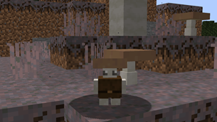 New Rework Coming