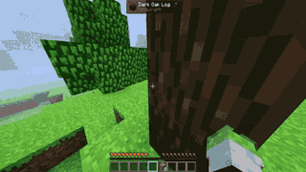 Foggy Forest Biome