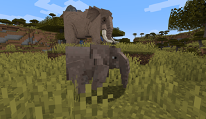 africano_baby.png