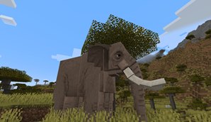 africano.png