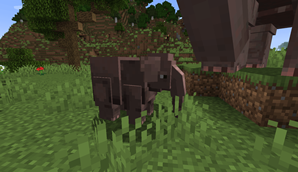 asiatico_baby.png
