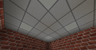 Ceiling
