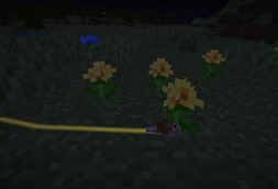 snail.png