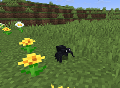 cutespider.png