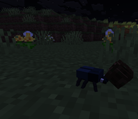 poopbug.png