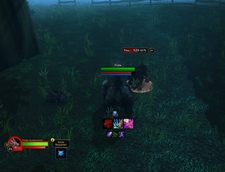 bear.jpg
