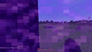 Nether portal distortion