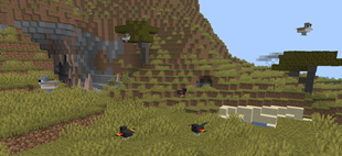 Screenshot 2026-10-10 174713.png