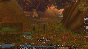Forever_Seasons_Autumn_Path_Under2MB.png