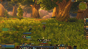 Forever_Seasons_Forest_Glade_Under2MB.png