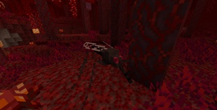 NETHER BRO