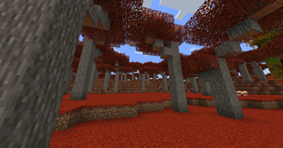 Seasonal Biomes