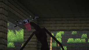 The Skin Walker
