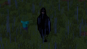 Stalker