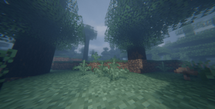 image-attachment_4a276b13-3c6a-4e78-a420-4d6f352d5c1c.png