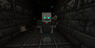 SPOOKY CREATURES!