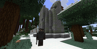 SOMEONE IN THE SNOWY BIOME!