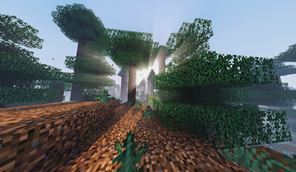 Sunrise.webp