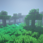 3 Biomes