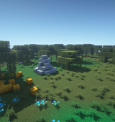 Swamp
