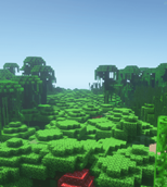 Dark Forest