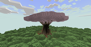 Fairy King's Forest