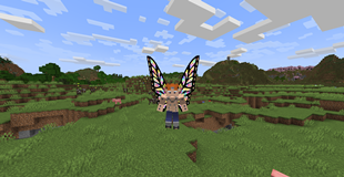 Gloxinia Wings