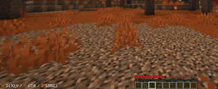 2026-10-11_06.07.38.png