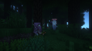 Overworld.