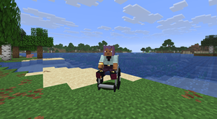 Wheelchair
