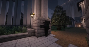 NPC 1