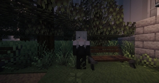 NPC2