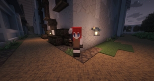NPC 3