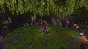 Void blossom