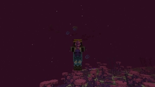 End islands
