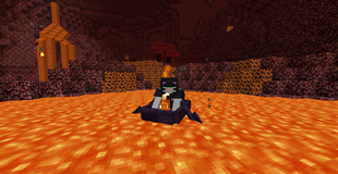 Netherwood Boat!