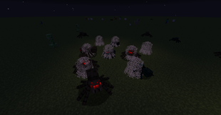 spider spawners