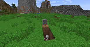 opened grave