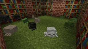 Crawlers