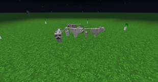 skeleton cats