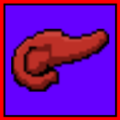 Pancreas.png