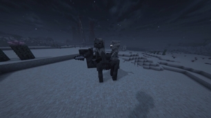 Camel husk jockey wandering at night