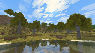 16.webp