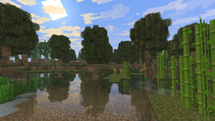 15.webp