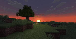 Gate at Dusk.png