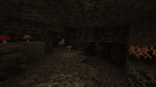 Nest Cave 2