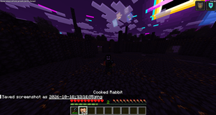 2026-10-11_12.11.40.png