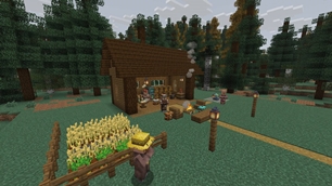 The field