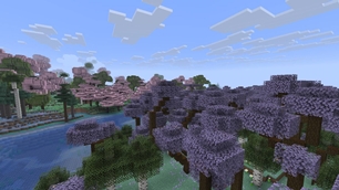 Lavender forest
